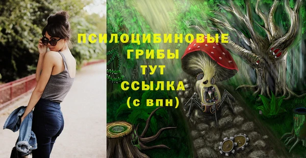 метадон Беломорск