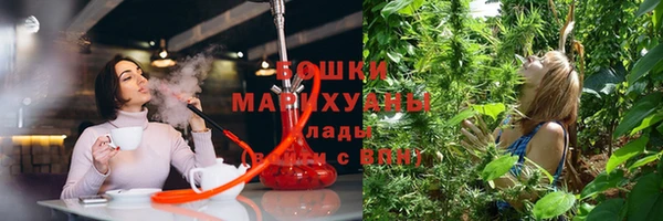 бутират Белокуриха